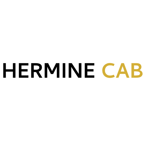 Logo application VTC et Taxi Vannes Hermine cab